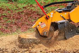 Best Aeration Services  in Clendenin, WV